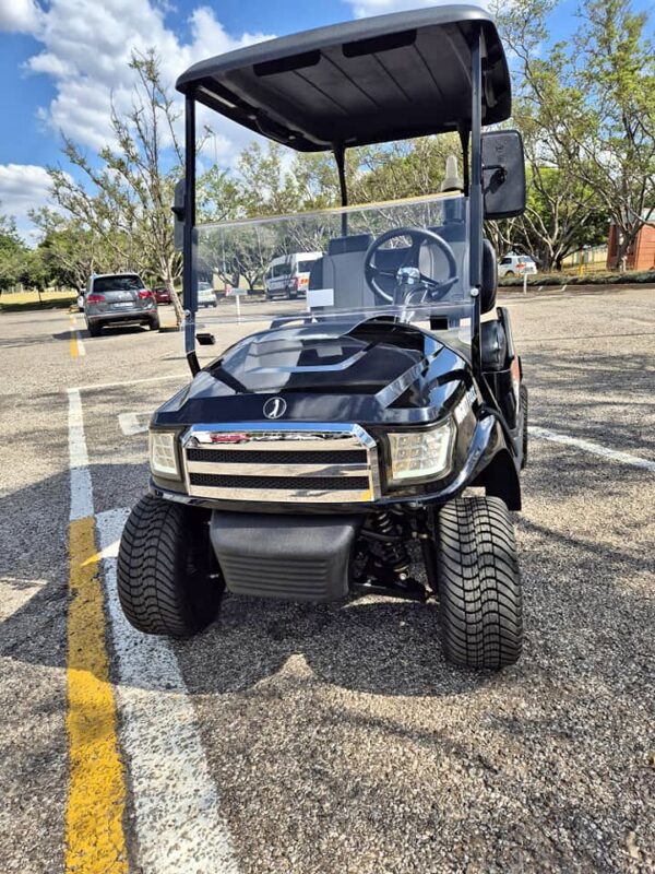 Customized 2 Seater Golf Cart