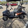 Customized 2 Seater Golf Cart - Image 3