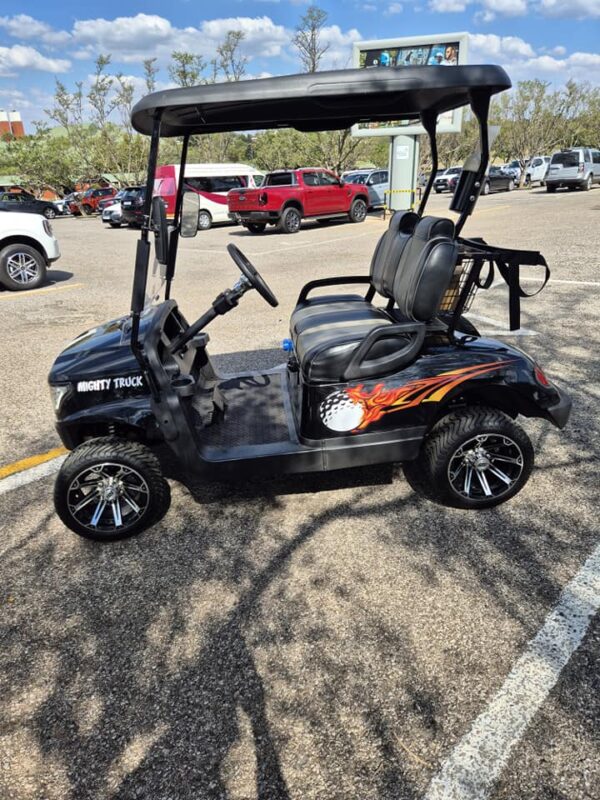 Customized 2 Seater Golf Cart - Image 3