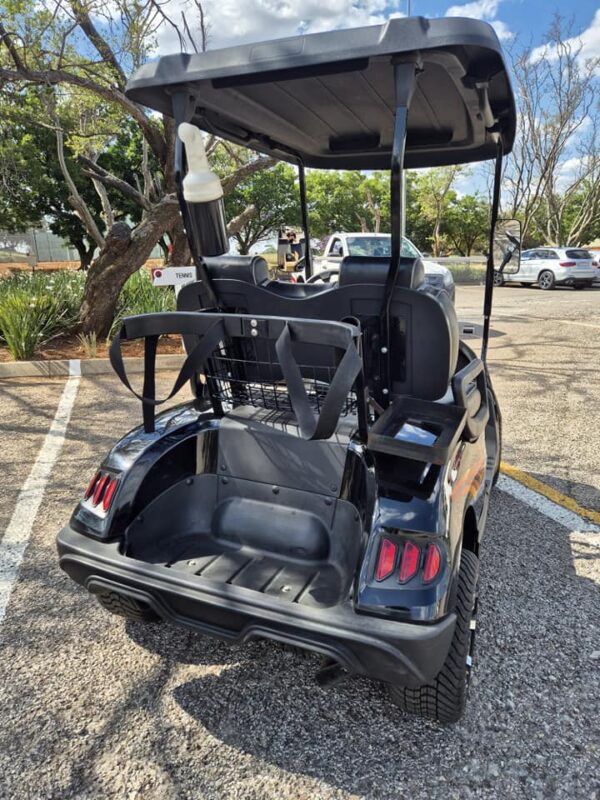 Customized 2 Seater Golf Cart - Image 4